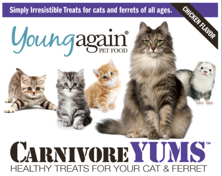 Young Again Carnivore Yums Cat Treat