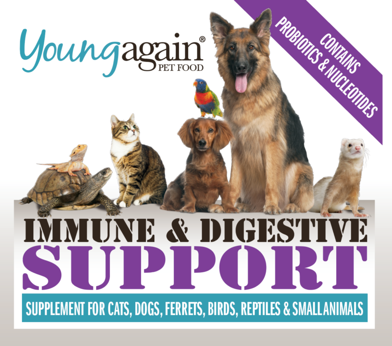 Young Again Immune and Digestive Support Supplement