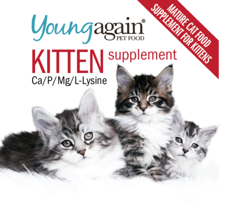 Young Again Kitten Supplement